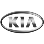 Ozy Cash For Cars NSW - KIA